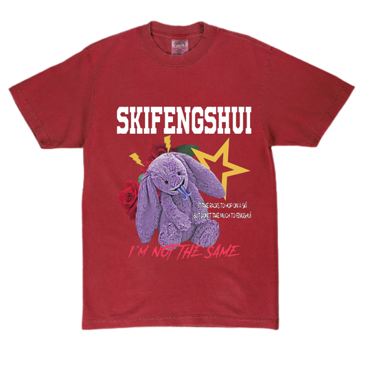 Red T-shirt Skifengshui
